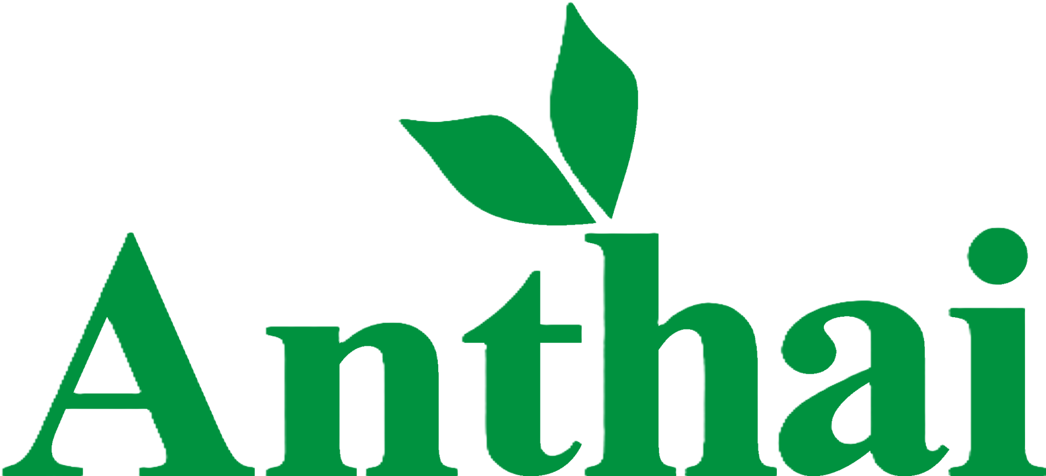 ANTHAI